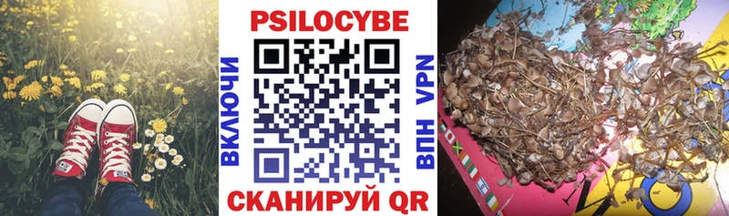 Псилоцибиновые грибы Magic Shrooms  Купить где  Новоузенск 